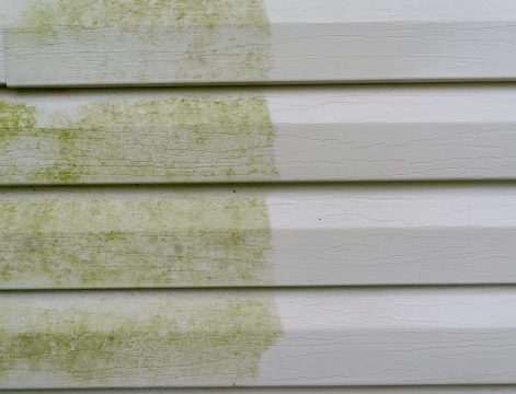 3 Ways to Prevent Mold on Vinyl Siding