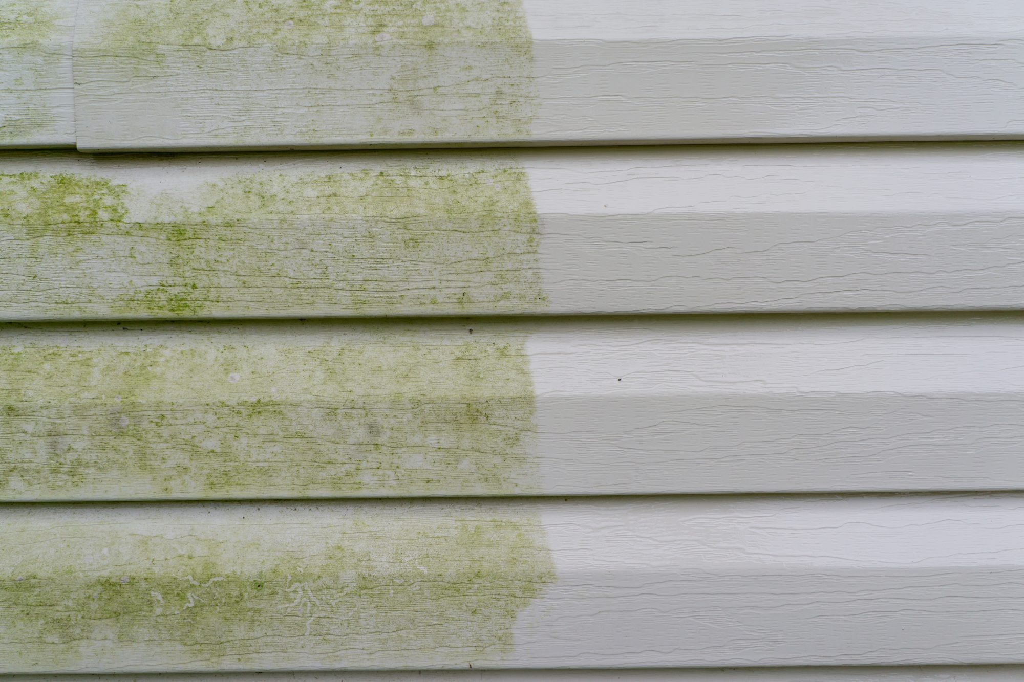 3 Ways to Prevent Mold on Vinyl Siding Berg Home Improvements New