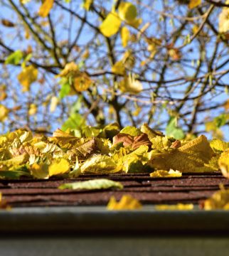 Tips on Maintaining Your Roof This Fall