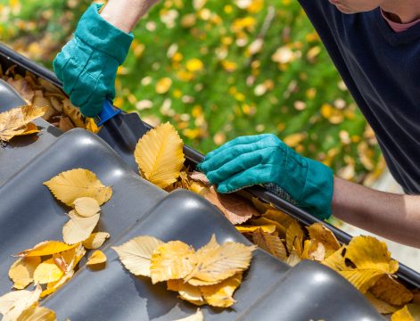 Gutter Cleaning Safety Tips: Protecting Yourself During Maintenance