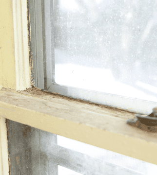 When Is It Time to Replace Your Home’s Windows?