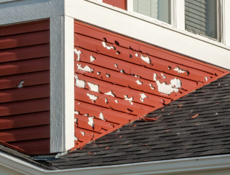 How to Prevent Pests From Damaging Your Siding