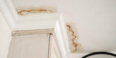 Why Small Ceiling Leaks Should Always Be Repaired Immediately