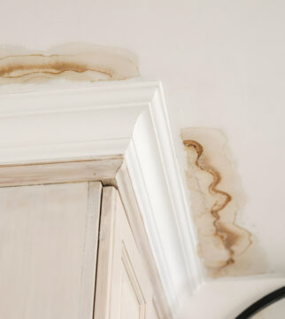 Why Small Ceiling Leaks Should Always Be Repaired Immediately