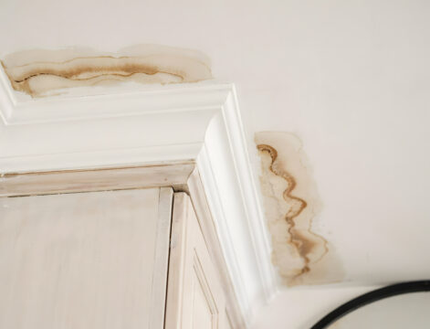 Why Small Ceiling Leaks Should Always Be Repaired Immediately